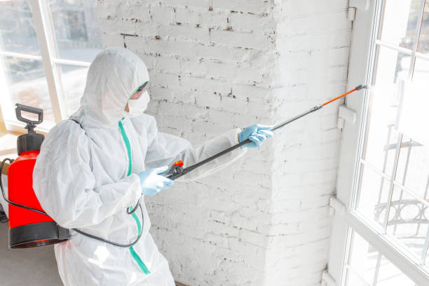 Best Biohazard Mold Removal  in Franklin Rk, PA