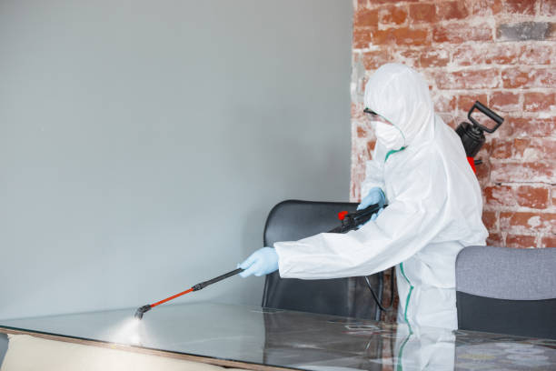 Mold Remediation for Rental Properties in Franklin Park, PA