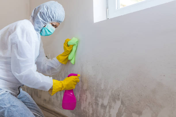 Best Residential Mold Inspection & Testing  in Franklin Rk, PA