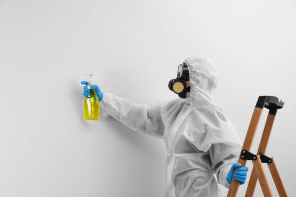 Best Mold Prevention Services  in Franklin Rk, PA