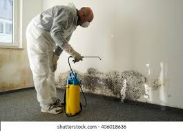 Best Mold Odor Removal Services  in Franklin Rk, PA